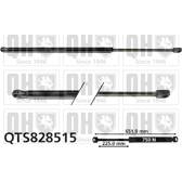 AE-HY-012 NTY Ammortizatore pneumatico, Cofano bagagli /vano carico per