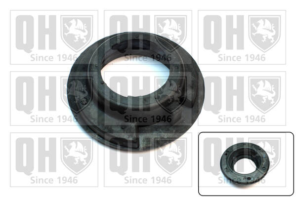 Supporting Ring, suspension strut bearing