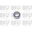 Bearing QUINTON HAZELL - XB9919