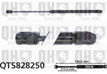 Gas Spring, bonnet