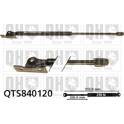 Gas Spring, bonnet QUINTON HAZELL - QTS840120