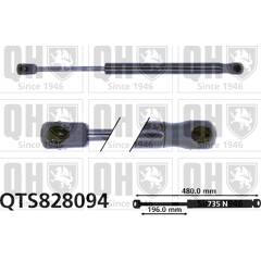 Tailgate Gas Struts / Lift Supports For Renault Grand Scenic IV (2016-2023) - Set Of 2