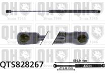 Gas Spring, boot