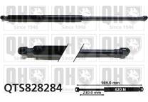 Gas Spring, boot