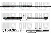 Gas Spring, boot
