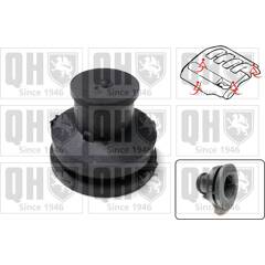 Cache moteur QUINTON HAZELL - EM4846