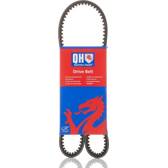 Cinghia Poly-V QUINTON HAZELL - QBA975