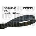 Cinghia Poly-V QUINTON HAZELL - QBR61340
