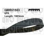 Cinghia Poly-V QUINTON HAZELL - QBR61503
