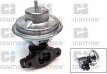 EGR Valve