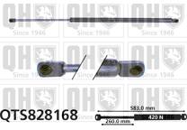 Gas Spring, boot