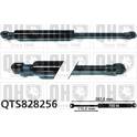 Gasfeder QUINTON HAZELL - QTS828256