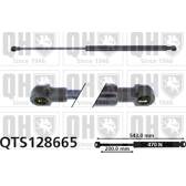 Gasfeder, Koffer-/Laderaum QUINTON HAZELL - QTS128665