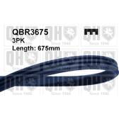 Keilrippenriemen QUINTON HAZELL - QBR3675
