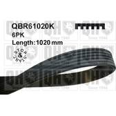 Keilrippenriemen QUINTON HAZELL - QBR61020K
