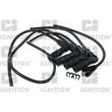 Kit cavi accensione QUINTON HAZELL - XC1358