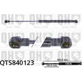 Mola pneumática, vidro traseiro QUINTON HAZELL - QTS840123