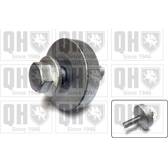 Parafuso de polia QUINTON HAZELL - QTT1193B