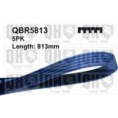 Poly V-riem QUINTON HAZELL - QBR5813