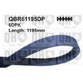 Poly V-riem QUINTON HAZELL - QBR61195DP