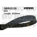 Poly V-riem QUINTON HAZELL - QBR62230