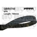 Poly V-riem QUINTON HAZELL - QBR6750