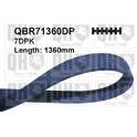 Poly V-riem QUINTON HAZELL - QBR71360DP