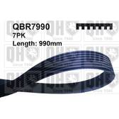 Poly V-riem QUINTON HAZELL - QBR7990