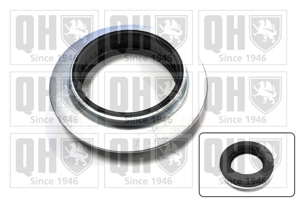 strut bearing (axle)