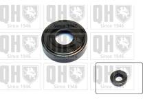 strut bearing (axle)