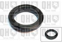 strut bearing (axle)