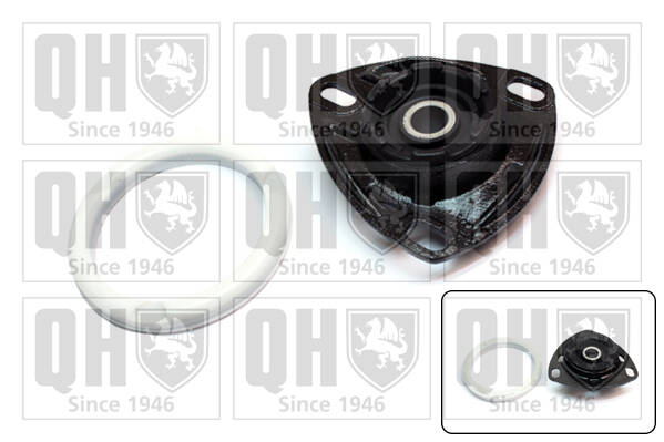 Suspension Strut Mounting