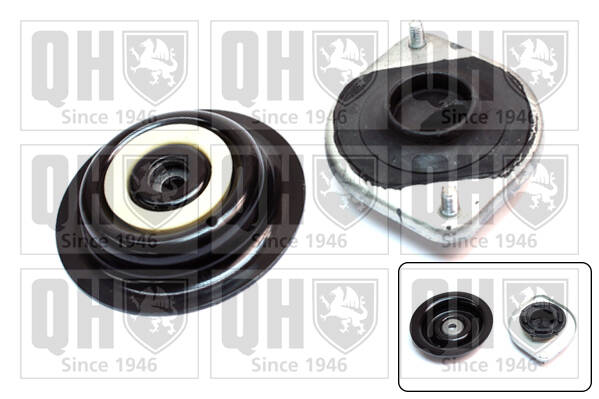 Suspension Strut Mounting