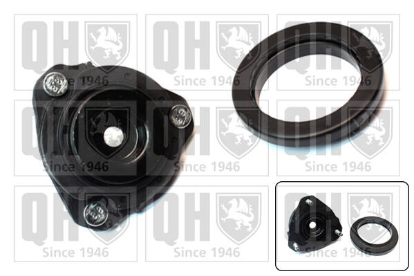 Suspension Strut Mounting