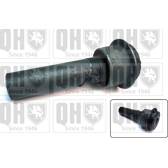 Support, silent bloc de suspension (berceau) QUINTON HAZELL - EMS8638