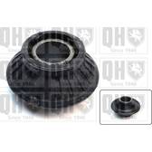 Supporto, Braccio oscillante QUINTON HAZELL - EMS2539