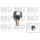 Thermostat d'eau QUINTON HAZELL - QTH114K