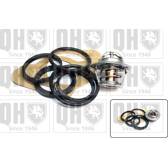 Thermostat, Kühlmittel QUINTON HAZELL - QTH118K