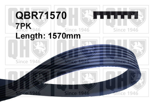 V Ribbed Drive Belts