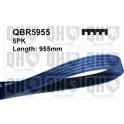 V Ribbed Drive Belts QUINTON HAZELL - QBR5955