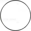 Chemin de roulement (vilebrequin) REINZ - 71-34183-00