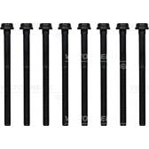 Cylinder Head Bolt Set REINZ - 14-32106-01