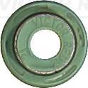 Dichtring, Ventilschaft REINZ - 70-18108-00