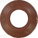 Dichtring, Ventilschaft REINZ - 70-25228-10