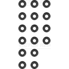 Jeu de joints d'étanchéité (tige de soupape) REINZ - 12-31306-12