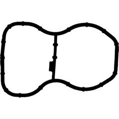 Joint d'étanchéité (collecteur d'admission) REINZ - 71-41231-00