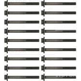 Kit bulloni testata REINZ - 14-32006-01