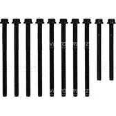 Kit bulloni testata REINZ - 14-32134-01
