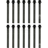 Kit bulloni testata REINZ - 14-32312-01
