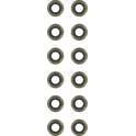 Klepsealset REINZ - 12-21291-01